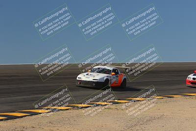 media/Oct-15-2023-Lucky Dog Racing Chuckwalla (Sun) [[f659570f60]]/2nd Stint Bowl/